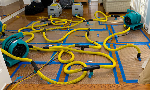 Professional Sewage Cleanup technician working in Louisville, CO